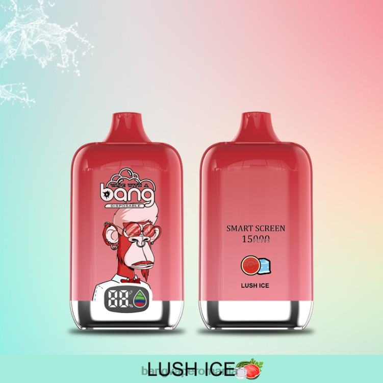 Bape Vape Romania - Bang Vape Digital Smart Screen 15000 pufuri 25ml de unică folosință 0JDXV11