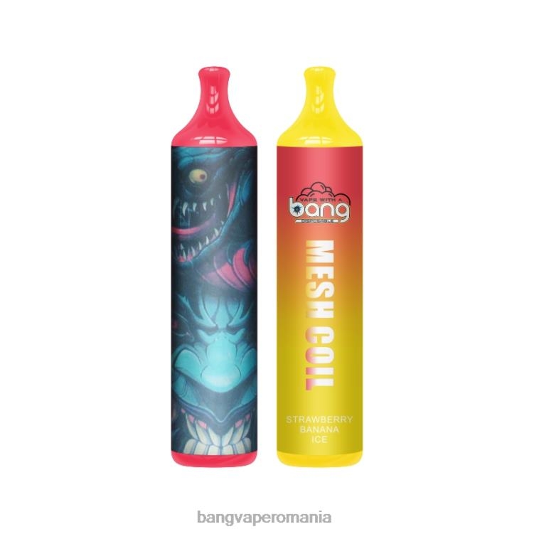 Vape Gang shop - Bang Vape bobină plasă 3500 puf 2% nic de unică folosință 0JDXV7