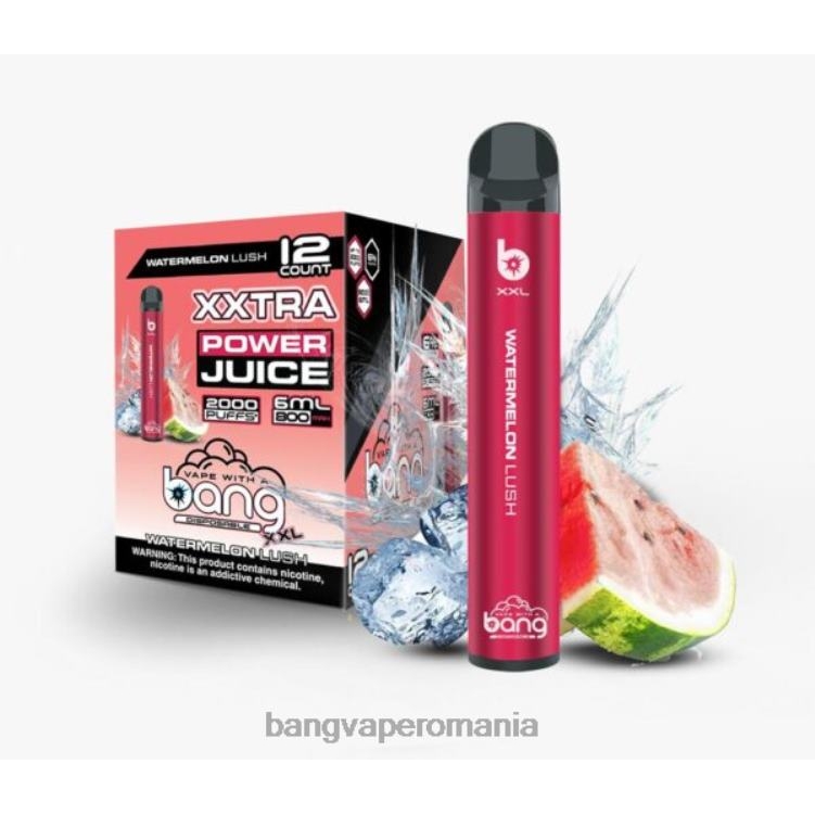 Vape Gang disposables - Bang Vape XXL 2000 de pufuri pepene verde luxuriant 0JDXV26