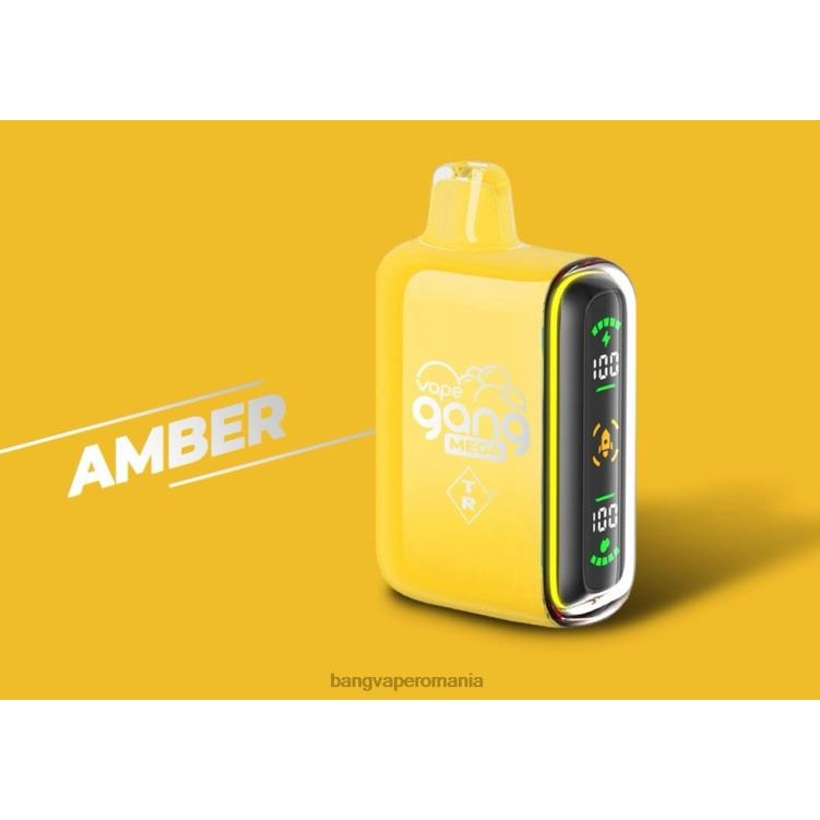 Bang box vape flavors - Vape Gang MEGA 20.000 de pufuri de vaporizare de unică folosință (cutie cu 5) chihlimbar 0JDXV50