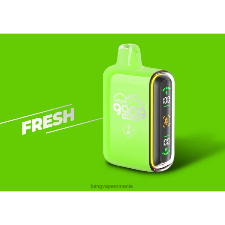 Bape Vape Bucharest - Vape Gang MEGA 20.000 de pufuri de vaporizare de unică folosință (cutie cu 5) proaspăt 0JDXV53