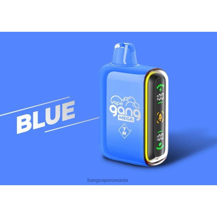 Bape Vape Romania - Vape Gang MEGA 20.000 de pufuri de vaporizare de unică folosință (cutie cu 5) albastru 0JDXV52