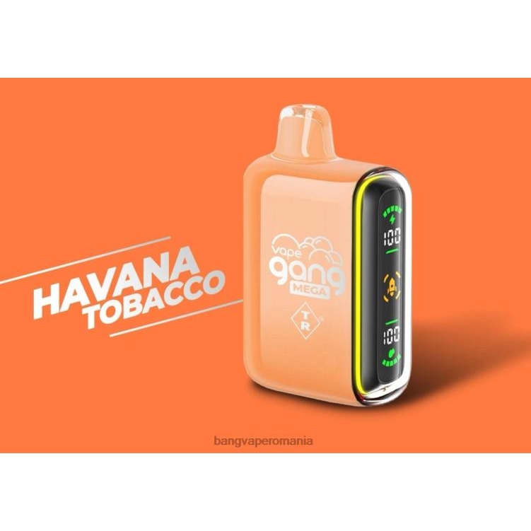 Vape Gang Romania - Vape Gang MEGA 20.000 de pufuri de vaporizare de unică folosință (cutie cu 5) tutun de havana 0JDXV55