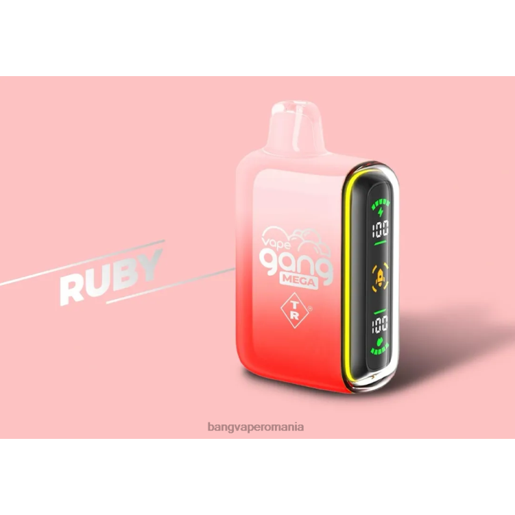 Vape Gang disposables - Vape Gang MEGA 20.000 de pufuri de vaporizare de unică folosință (cutie cu 5) rubin 0JDXV58