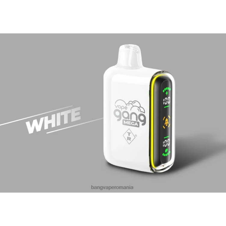 Vape Gang flavors - Vape Gang MEGA 20.000 de pufuri de vaporizare de unică folosință (cutie cu 5) alb 0JDXV60