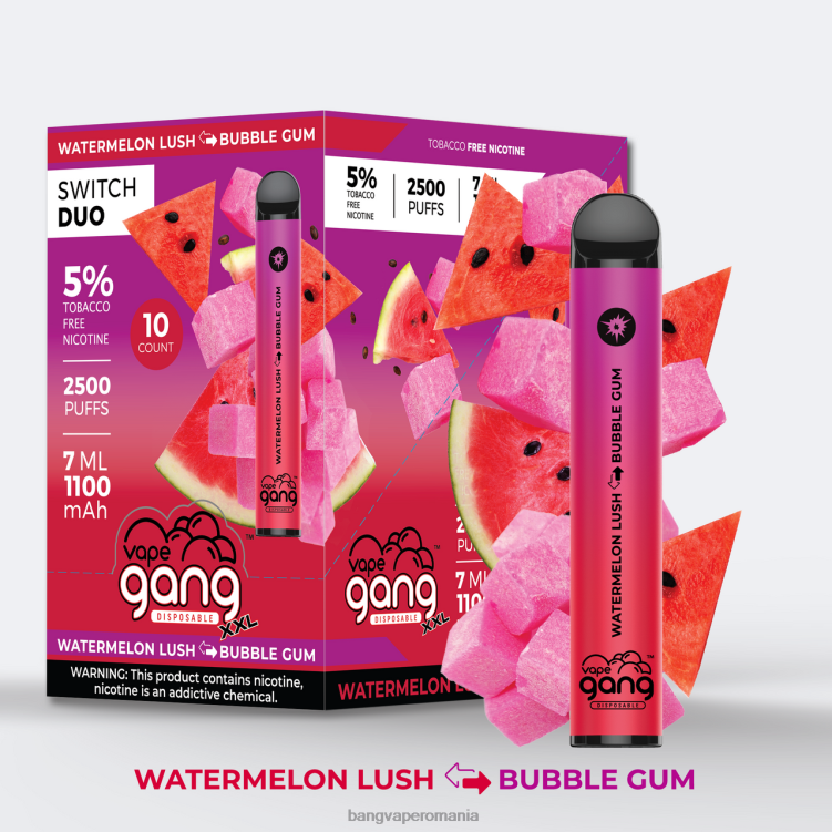 Vape Gang shop - Vape Gang Switch Duo 2 arome (cutie de 10) gheață de căpșuni - gheață de pepene verde 0JDXV47