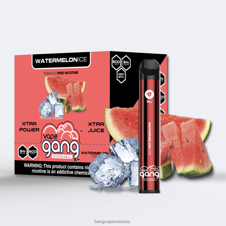 Bang disposable vape flavors - Vape Gang XL Vape de unică folosință 600 pufuri (cutie cu 10) gheata de pepene verde 0JDXV76