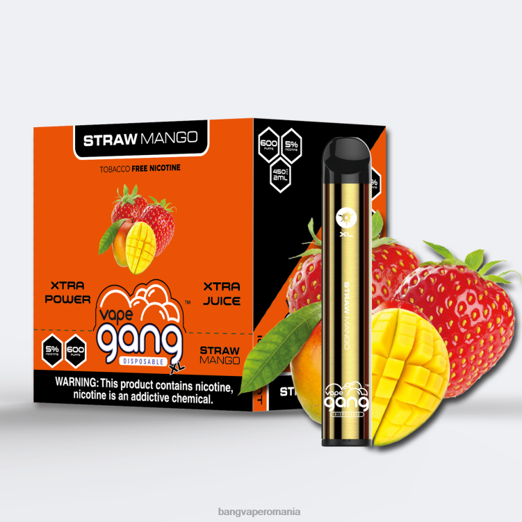 Bang disposable vape flavors - Vape Gang XL Vape de unică folosință 600 pufuri (cutie cu 10) mango pai 0JDXV66