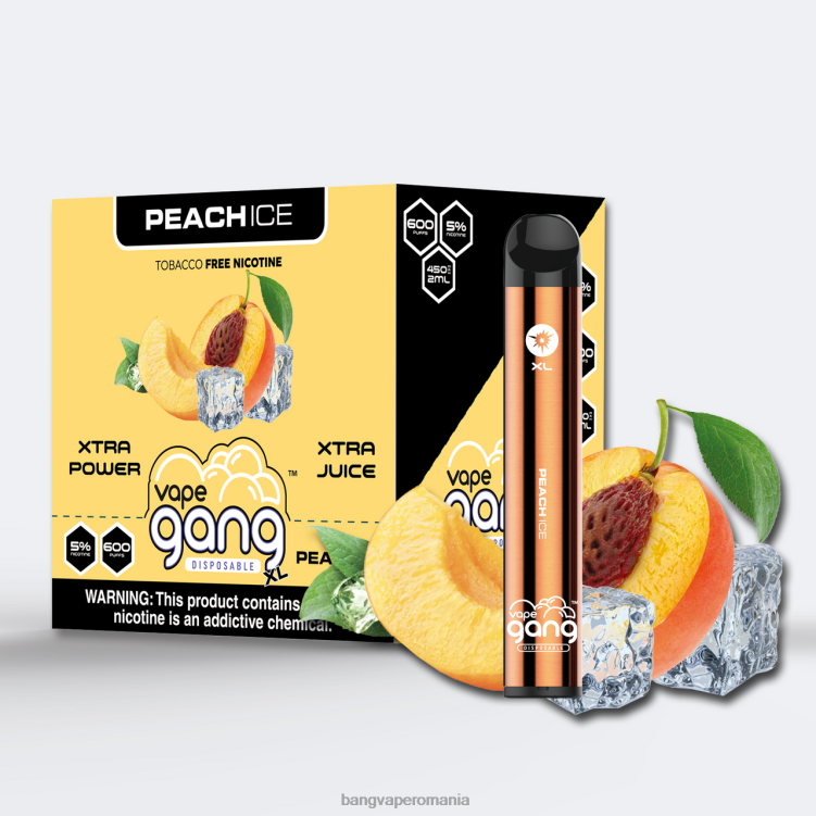 Bang disposable vape review - Vape Gang XL Vape de unică folosință 600 pufuri (cutie cu 10) gheata de piersici 0JDXV77