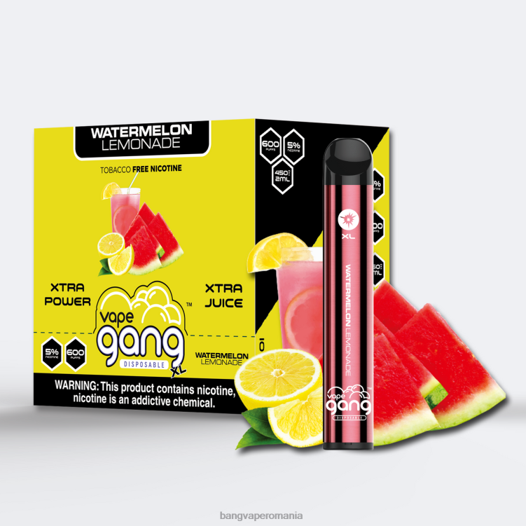 Vape Gang Romania - Vape Gang XL Vape de unică folosință 600 pufuri (cutie cu 10) limonada de pepene verde 0JDXV65