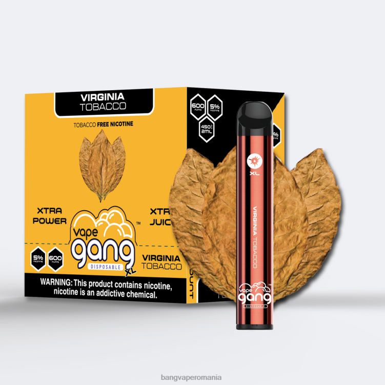 Vape Gang flavors - Vape Gang XL Vape de unică folosință 600 pufuri (cutie cu 10) tutun din Virginia 0JDXV70