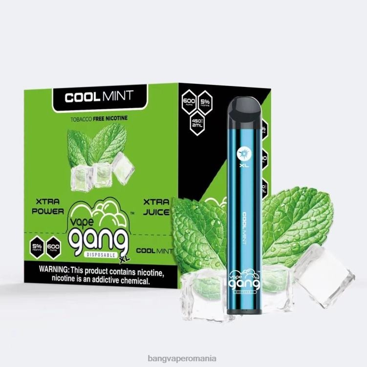 Vape Gang shop - Vape Gang XL Vape de unică folosință 600 pufuri (cutie cu 10) menta rece 0JDXV79